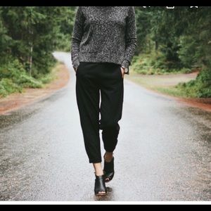 Gorgeous Aritzia harem pants with pockets!